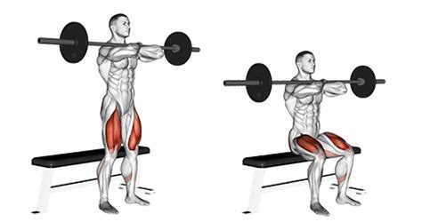 Bench Press and Squats without rack